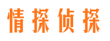 云溪侦探公司